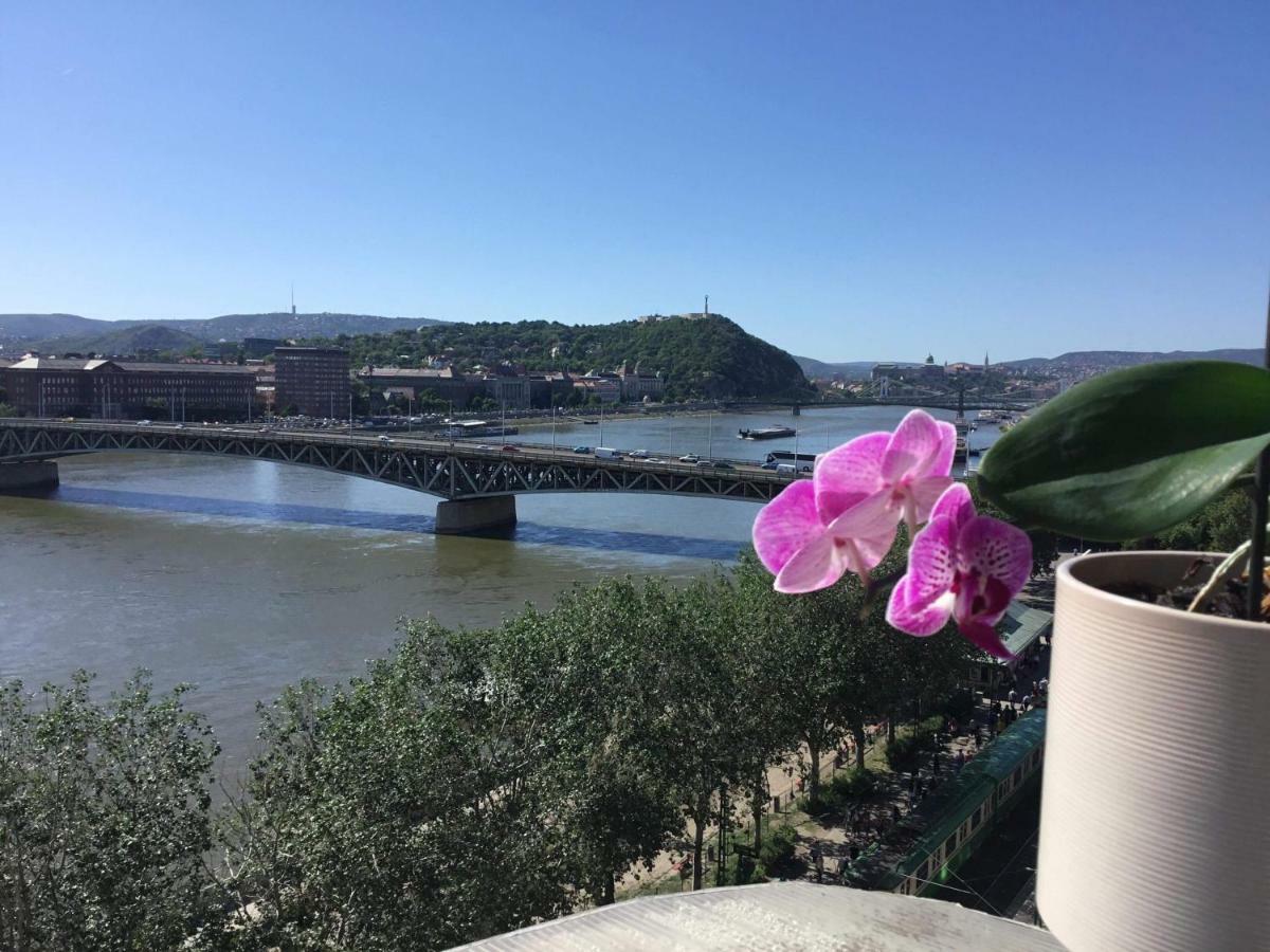 Danube Paradise * Будапешт